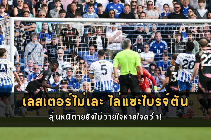 เลสเตอร์ไม่เละ ไล่แซะไบรจ์ตัน