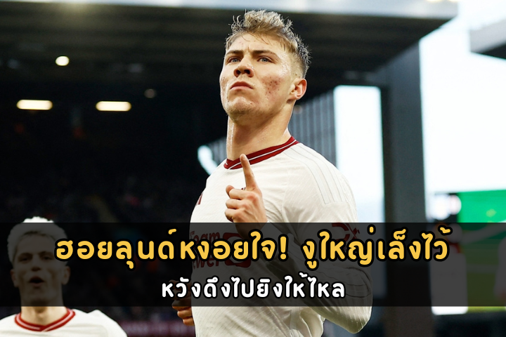 ฮอยลุนด์หงอยใจ! งูใหญ่เล็งไว้