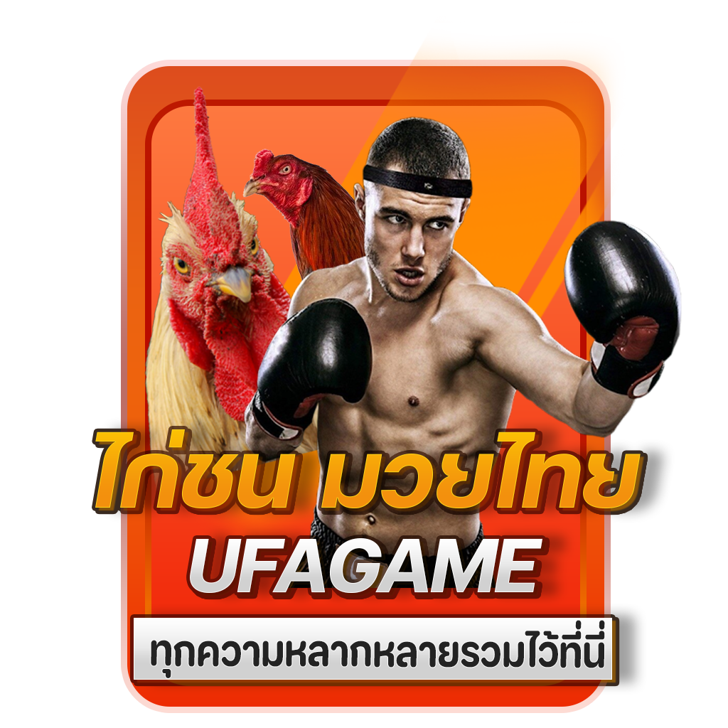 ไก่ชน มวยไทย ทุกความหลากหลายรวมไว้ที่นี่_0